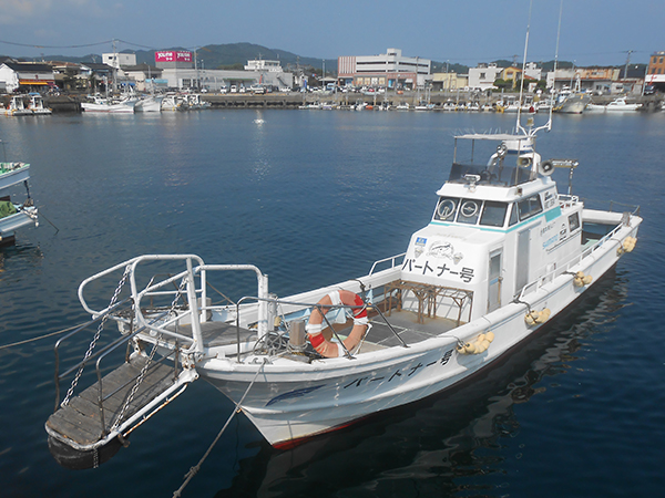 Marine tourist Ushibuka