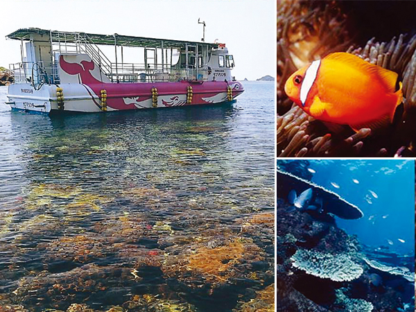 Glass bottom boat of Ushibuka sea park