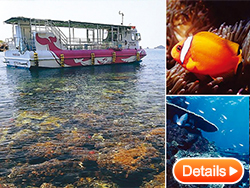 Glass bottom boat of Ushibuka sea park