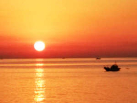 Japanese Inn Hamasaki