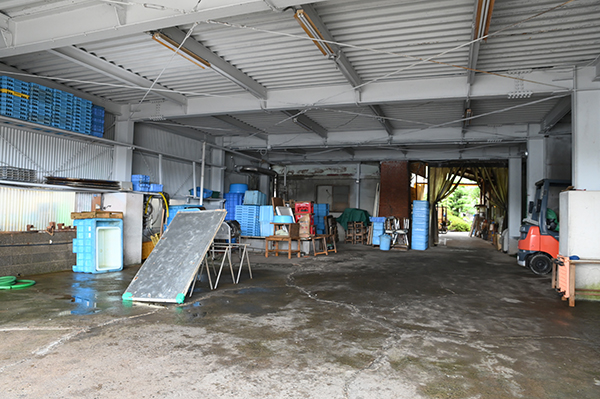 �������Y