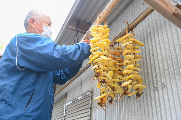 �Ȃ��ނ�݉�