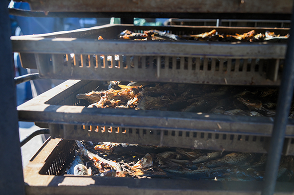 �����������X