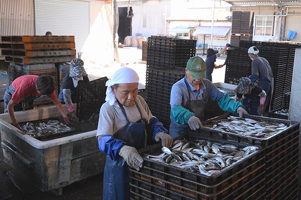 �����������X