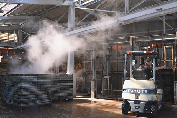 �����������X