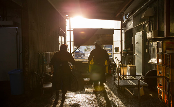 �������X