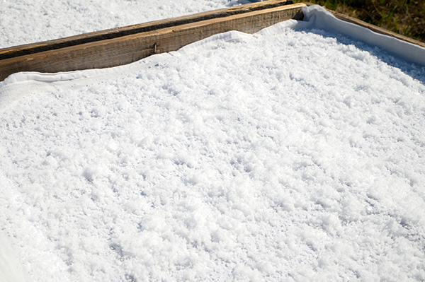 ���H�[�@��