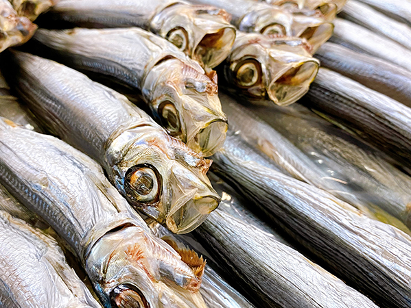 �R�����Y