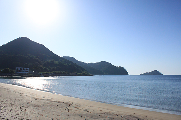 �����C������