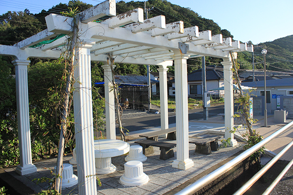 �����C������