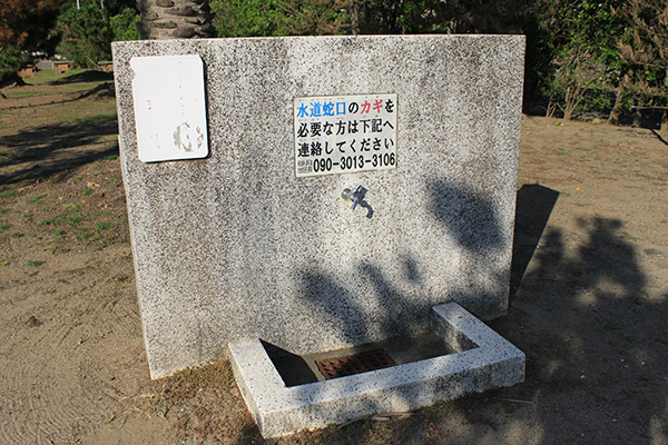 �����C������