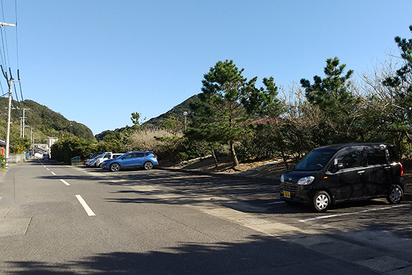 �����C������