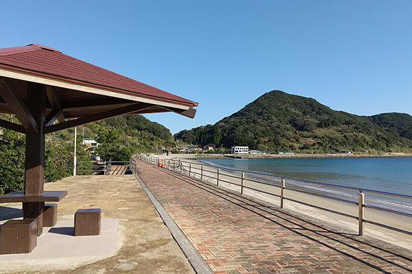 �����C������