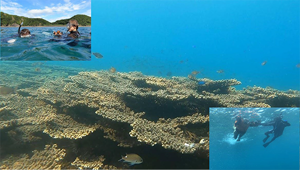 ���ف@�͂܂���