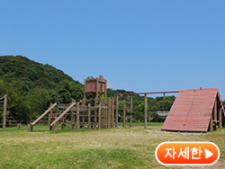 체육 시설 관장