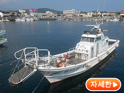 머린 투어리스트 우시부카