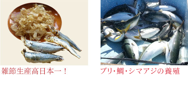 ���[�ɂ���