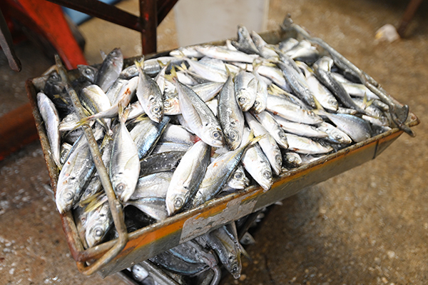 ���g�̊��g