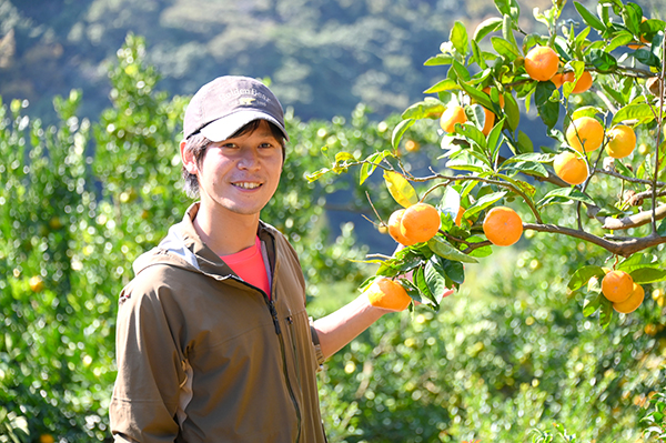 ��c�O�Y�ʎ���