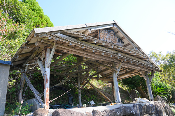 ��c�O�Y�ʎ���