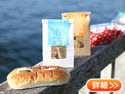 �g�i���p����