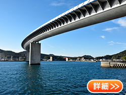 �n�C���勴