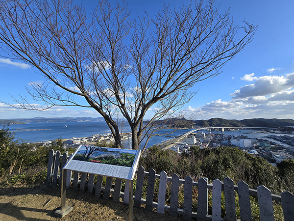 �����R�@�܂�������