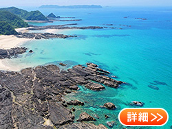 �΋��C������