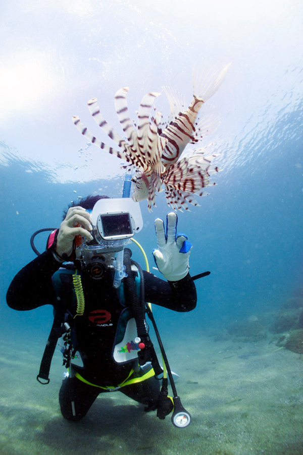 �悩�悩�_�C�r���O ���[�X