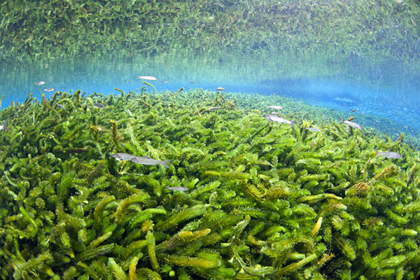 �悩�悩�_�C�r���O ���[�X