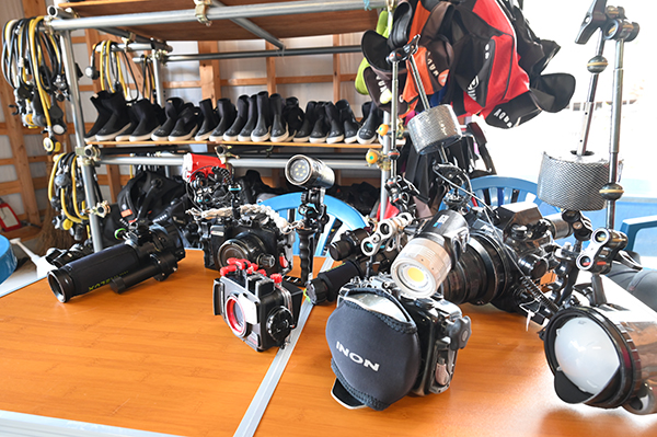 �悩�悩�_�C�r���O ���[�X