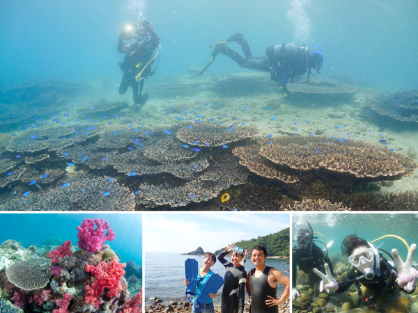 �悩�悩�_�C�r���O ���[�X