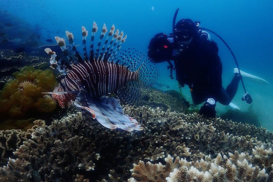 �_�C�r���O