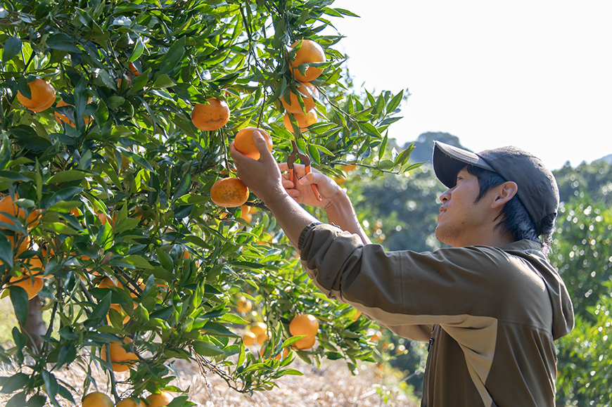 �݂�����