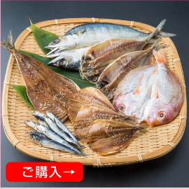 �������X