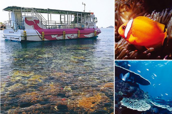 ���[�@�̌�����