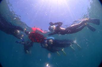 ���[�@�̌�����