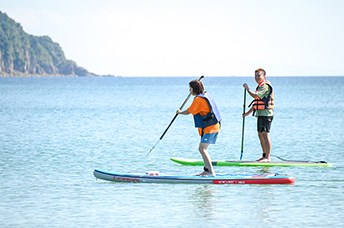 ���[�@�̌�����